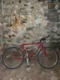 BICICLETTA DA CITTÀ VILLIGER ARROW