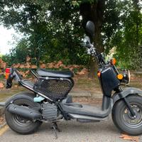 Honda zoomer