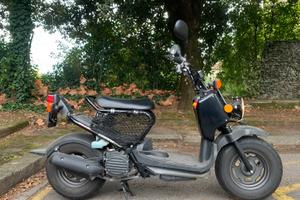 Honda zoomer