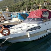 Natante Scarani Cruiser 29 del 2008