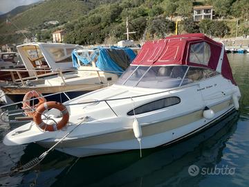 Natante Scarani Cruiser 29 del 2008