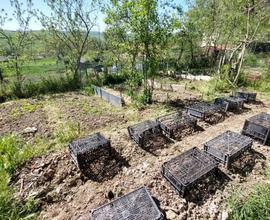 Agricolo a Asciano