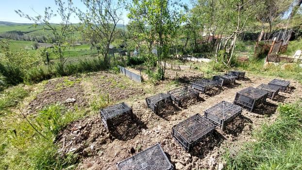 Agricolo a Asciano