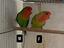 Immagine 1