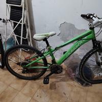 bicicletta dell’adriatica