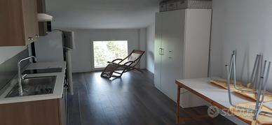 Ampio monolocale 