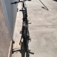 mtb pedalata assistita marchio Trek