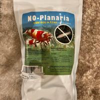 No planaria caridine acquario