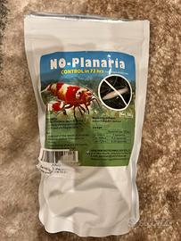 No planaria caridine acquario