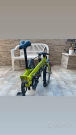 bicicletta 
