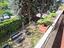 Immagine 25