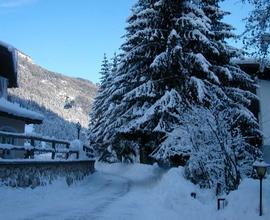 Inverno Val di Fassa a 50mt dalla funivia - si can