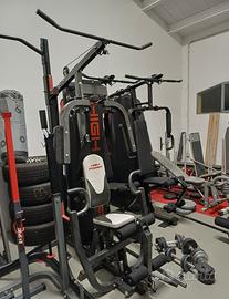 Palestra Professionale 