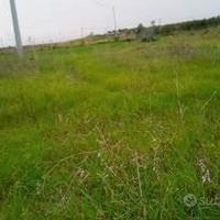 Terreno agricolo pianeggiante località Campolongo