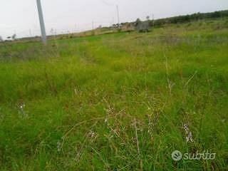 Terreno agricolo pianeggiante località Campolongo