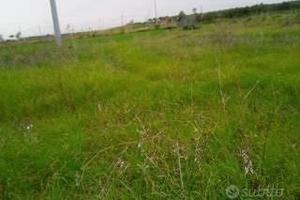 Terreno agricolo pianeggiante località Campolongo