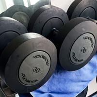 Coppie di manubri Technogym