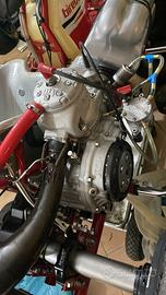 Kart tm R1 telaio Birel