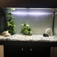 Acquario Ferplast litri 80