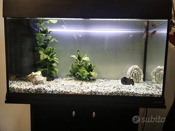 Acquario Ferplast litri 80