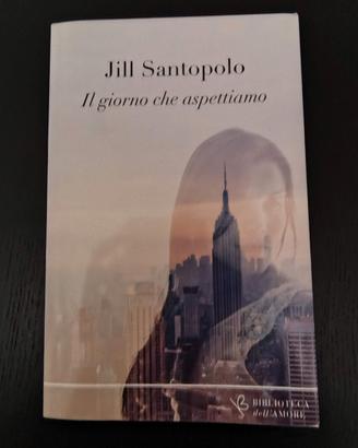 giorno che aspettiamo jill santopolo libro