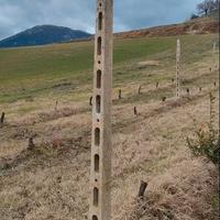Pali di cemento ideali per recinzione,orto,vigneto