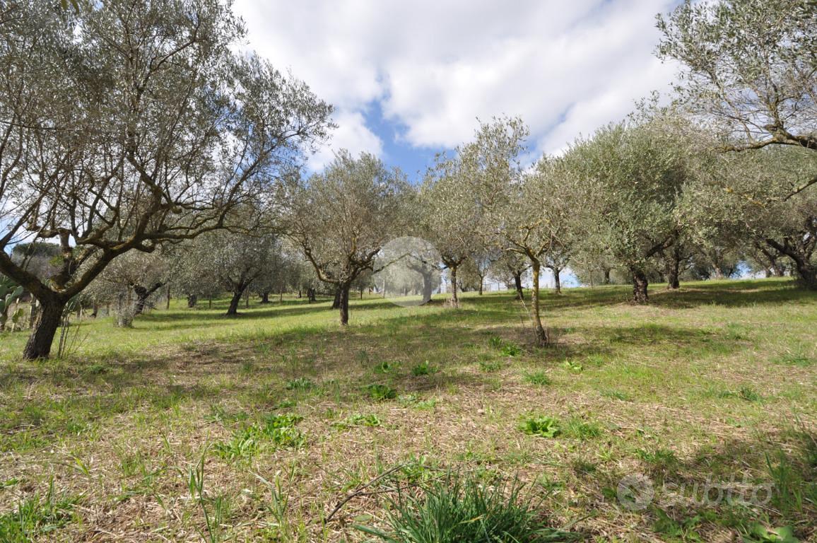 TER. AGRICOLO A ROMA - Vista 2