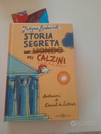 Storia segreta dei calzini