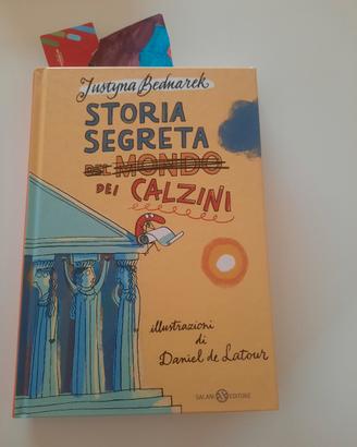Storia segreta dei calzini