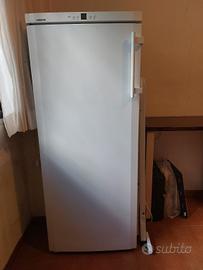 Congelatore a colonna Liebherr