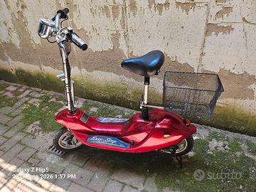 Mono scooter
