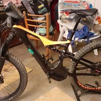 Bicicletta in carbonio