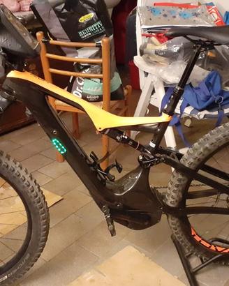 Bicicletta in carbonio