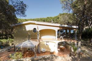 Villa Maria - Appartamento fronte mare immerso nel