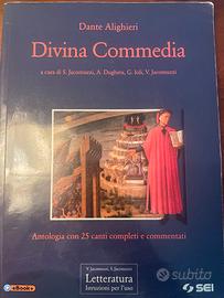 Divina commedia, letteratura istruzioni per l’uso