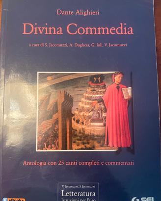 Divina commedia, letteratura istruzioni per l’uso
