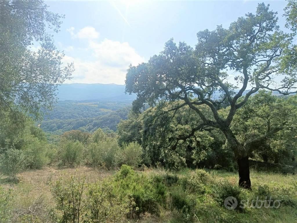 Terreno di 12000 m² a Monti - Vista 2