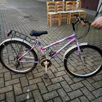 Bicicletta da donna