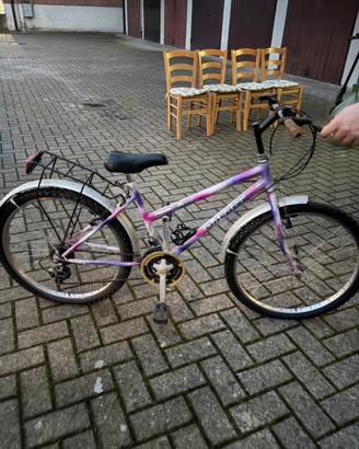Bicicletta da donna