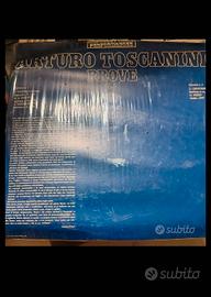 Disco il vinile 33 giri LP