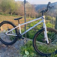 Bicicletta street trial alias 24.1