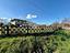 Immagine 29