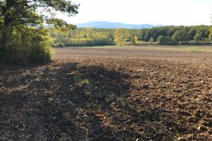 Terreno agricolo edificabile a Ceprano (fr)