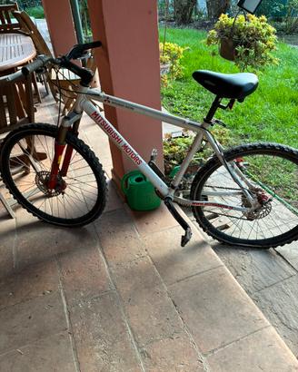 Bicicletta mitsubishi motor