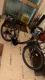 Bici elettrica