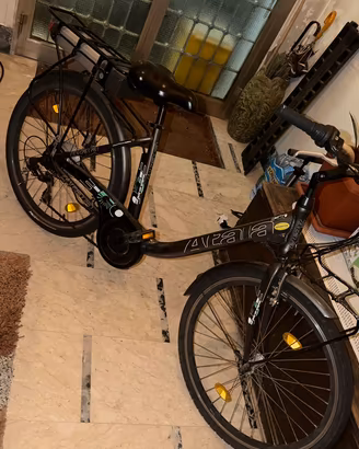 Bici elettrica