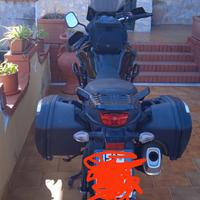 Suzuki V Strom DL 650 - 2019
