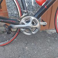 Bici da corsa in carbonio TG 52