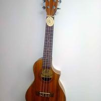 ukulele 