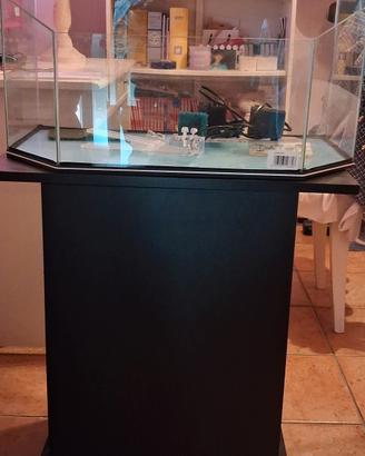 Acquario Tarturuga e Mobiletto